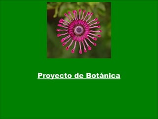 Proyecto de Botánica

 