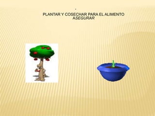 . PLANTAR Y COSECHAR PARA EL ALIMENTO ASEGURAR 