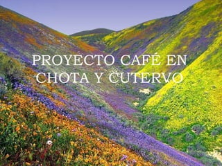 PROYECTO CAFÉ EN
CHOTA Y CUTERVO
 