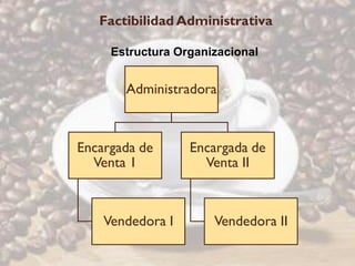 Factibilidad Administrativa

     Estructura Organizacional


       Administradora



Encargada de      Encargada de
  Venta 1           Venta II



    Vendedora I       Vendedora II
 