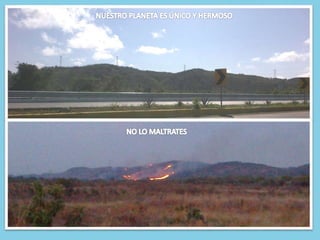 Proyecto cambio climático