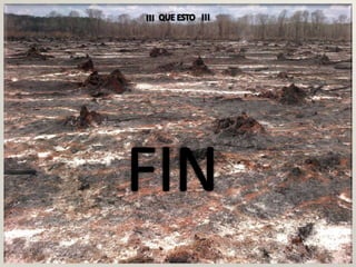 Proyecto cambio climático