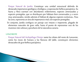 - Parque Natural de Jandía: Constituye una unidad estructural definida de
destacada importancia geológica y biológica, y espectacular belleza paisajística. Su
fauna y flora cuentan con abundantes endemismos, especies amenazadas y
especies protegidas, que se distribuyen por hábitats bien conservados y a veces
muy amenazados, siendo además el hábitat de algunas especies exclusivas. Para
las aves,representa un área deimportancia vital, con especiesprotegidas.
En conjunto, Jandía configura un paisaje casi intacto e imponente, plagado de
elementos naturales de gran valía, hasta el punto de representar una de las
muestras más valiosas y peculiares dela naturaleza canaria.
LANZAROTE
- Parque Natural del Archipiélago Chinijo: tanto los islotes del norte de Lanzarote,
como los riscos de Famara y las llanuras del Jable, constituyen elementos
destacados degranbelleza paisajística.
 