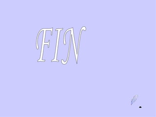FIN 
