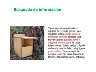Típica caja nido realizada en madera de 1cm de grosor. Las maderas están  unidas entre si mediante tornillos  dándole una mayor solidez. La  base lleva 4 agujeros de drenaje  y la tabla trasera otros 2 para poder colgarla o clavarla con facilidad. Muy ligera y  decorativa . Especies que la ocupan: colirrojo tizón, lavandera blanca, papamoscas gris, petirrojo.  Búsqueda de información 