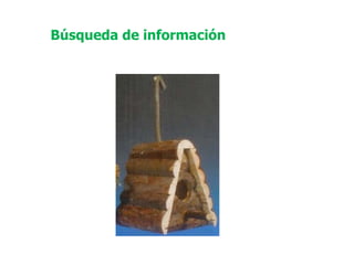 Búsqueda de información 