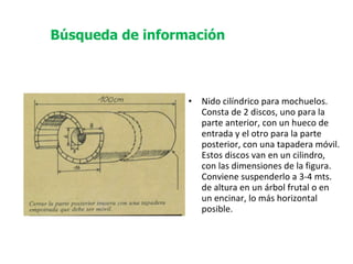 Nido cilíndrico para mochuelos. Consta de 2 discos, uno para la parte anterior, con un hueco de entrada y el otro para la parte posterior, con una tapadera móvil. Estos discos van en un cilindro, con las dimensiones de la figura. Conviene suspenderlo a 3-4 mts. de altura en un árbol frutal o en un encinar, lo más horizontal posible. Búsqueda de información 
