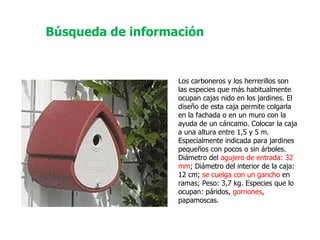 Los carboneros y los herrerillos son las especies que más habitualmente ocupan cajas nido en los jardines. El diseño de esta caja permite colgarla en la fachada o en un muro con la ayuda de un cáncamo. Colocar la caja a una altura entre 1,5 y 5 m. Especialmente indicada para jardines pequeños con pocos o sin árboles. Diámetro del  agujero de entrada: 32 mm ; Diámetro del interior de la caja: 12 cm;  se cuelga con un gancho  en ramas; Peso: 3,7 kg. Especies que lo ocupan: páridos,  gorriones , papamoscas.  Búsqueda de información 
