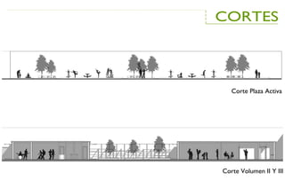 Corte Plaza Activa
Corte Volumen II Y III
 