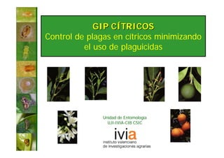 GIP CÍTRICOS
Control de plagas en cítricos minimizando
          el uso de plaguicidas




               Unidad de Entomología
                 UJI-IVIA-CIB CSIC
 