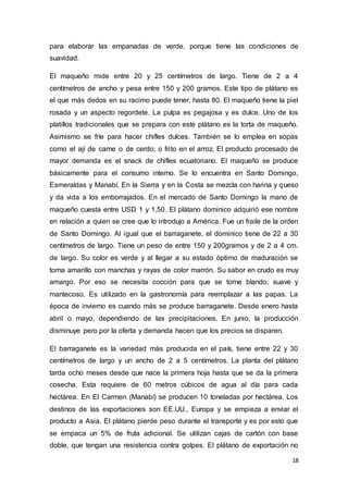 18
para elaborar las empanadas de verde, porque tiene las condiciones de
suavidad.
El maqueño mide entre 20 y 25 centímetros de largo. Tiene de 2 a 4
centímetros de ancho y pesa entre 150 y 200 gramos. Este tipo de plátano es
el que más dedos en su racimo puede tener, hasta 80. El maqueño tiene la piel
rosada y un aspecto regordete. La pulpa es pegajosa y es dulce. Uno de los
platillos tradicionales que se prepara con este plátano es la torta de maqueño.
Asimismo se fríe para hacer chifles dulces. También se lo emplea en sopas
como el ají de carne o de cerdo; o frito en el arroz. El producto procesado de
mayor demanda es el snack de chifles ecuatoriano. El maqueño se produce
básicamente para el consumo interno. Se lo encuentra en Santo Domingo,
Esmeraldas y Manabí. En la Sierra y en la Costa se mezcla con harina y queso
y da vida a los emborrajados. En el mercado de Santo Domingo la mano de
maqueño cuesta entre USD 1 y 1,50. El plátano dominico adquirió ese nombre
en relación a quien se cree que lo introdujo a América. Fue un fraile de la orden
de Santo Domingo. Al igual que el barraganete, el dominico tiene de 22 a 30
centímetros de largo. Tiene un peso de entre 150 y 200gramos y de 2 a 4 cm.
de largo. Su color es verde y al llegar a su estado óptimo de maduración se
torna amarillo con manchas y rayas de color marrón. Su sabor en crudo es muy
amargo. Por eso se necesita cocción para que se torne blando, suave y
mantecoso. Es utilizado en la gastronomía para reemplazar a las papas. La
época de invierno es cuando más se produce barraganete. Desde enero hasta
abril o mayo, dependiendo de las precipitaciones. En junio, la producción
disminuye pero por la oferta y demanda hacen que los precios se disparen.
El barraganete es la variedad más producida en el país, tiene entre 22 y 30
centímetros de largo y un ancho de 2 a 5 centímetros. La planta del plátano
tarda ocho meses desde que nace la primera hoja hasta que se da la primera
cosecha. Esta requiere de 60 metros cúbicos de agua al día para cada
hectárea. En El Carmen (Manabí) se producen 10 toneladas por hectárea. Los
destinos de las exportaciones son EE.UU., Europa y se empieza a enviar el
producto a Asia. El plátano pierde peso durante el transporte y es por esto que
se empaca un 5% de fruta adicional. Se utilizan cajas de cartón con base
doble, que tengan una resistencia contra golpes. El plátano de exportación no
 