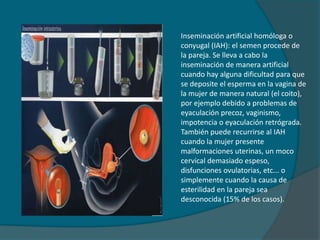 Inseminación artificial homóloga o conyugal (IAH): el semen procede de la pareja. Se lleva a cabo la inseminación de manera artificial cuando hay alguna dificultad para que se deposite el esperma en la vagina de la mujer de manera natural (el coito), por ejemplo debido a problemas de eyaculación precoz, vaginismo, impotencia o eyaculación retrógrada. También puede recurrirse al IAH cuando la mujer presente malformaciones uterinas, un moco cervical demasiado espeso, disfunciones ovulatorias, etc... o simplemente cuando la causa de esterilidad en la pareja sea desconocida (15% de los casos).