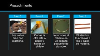 Procedimiento

  Paso 5         Paso 6          Paso 7         Paso 8




 Los cellas     Cortas la     Introduces el    El alambre
  bien con      otra lata o     rehilete en   lo amarras a
 plastilina.      papel y       un pedazo      los 2 palos
                haces un       pequeño de      de madera.
                 rehilete.       alambre.
 