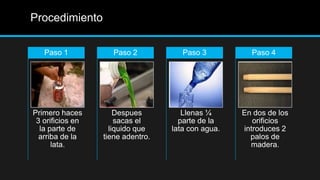Procedimiento

   Paso 1            Paso 2           Paso 3          Paso 4




Primero haces         Despues         Llenas ¼      En dos de los
 3 orificios en       sacas el       parte de la       orificios
  la parte de       liquido que    lata con agua.   introduces 2
  arriba de la    tiene adentro.                      palos de
      lata.                                           madera.
 