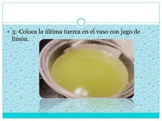  3.-Coloca la última tuerca en el vaso con jugo de
limón.
 
