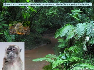 Encontraron una ciudad perdida de monos como María Clara Josefina había dicho. 
