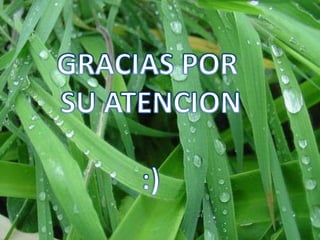 Proyecto Claudia Lopez