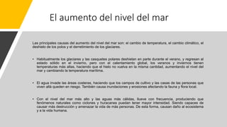 El aumento del nivel del mar
Las principales causas del aumento del nivel del mar son: el cambio de temperatura, el cambio...
