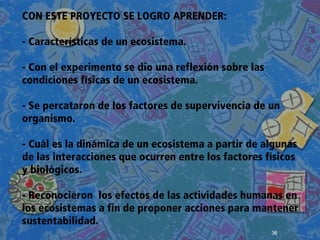 36
 
 
 
CON ESTE PROYECTO SE LOGRO APRENDER:
- Características de un ecosistema.
- Con el experimento se dio una reflexión sobre las
condiciones físicas de un ecosistema.
- Se percataron de los factores de supervivencia de un
organismo.
- Cuál es la dinámica de un ecosistema a partir de algunas
de las interacciones que ocurren entre los factores físicos
y biológicos.
- Reconocieron los efectos de las actividades humanas en
los ecosistemas a fin de proponer acciones para mantener
sustentabilidad.
 