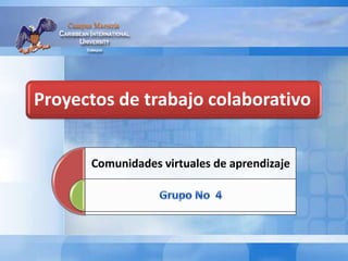 Proyectos de trabajo colaborativo
Comunidades virtuales de aprendizaje
 