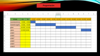 Programación
 