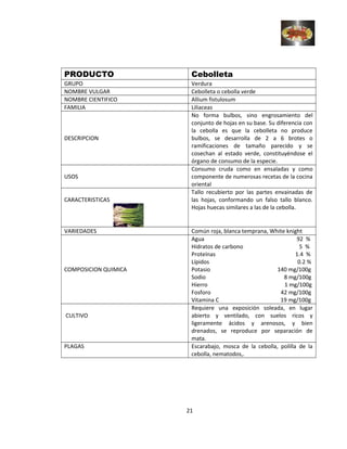 PRODUCTO Cebolleta
GRUPO Verdura
NOMBRE VULGAR Cebolleta o cebolla verde
NOMBRE CIENTIFICO Allium fistulosum
FAMILIA Liliaceas
DESCRIPCION
No forma bulbos, sino engrosamiento del
conjunto de hojas en su base. Su diferencia con
la cebolla es que la cebolleta no produce
bulbos, se desarrolla de 2 a 6 brotes o
ramificaciones de tamaño parecido y se
cosechan al estado verde, constituyéndose el
órgano de consumo de la especie.
USOS
Consumo cruda como en ensaladas y como
componente de numerosas recetas de la cocina
oriental
CARACTERISTICAS
Tallo recubierto por las partes envainadas de
las hojas, conformando un falso tallo blanco.
Hojas huecas similares a las de la cebolla.
VARIEDADES Común roja, blanca temprana, White knight
COMPOSICION QUIMICA
Agua 92 %
Hidratos de carbono 5 %
Proteínas 1.4 %
Lípidos 0.2 %
Potasio 140 mg/100g
Sodio 8 mg/100g
Hierro 1 mg/100g
Fosforo 42 mg/100g
Vitamina C 19 mg/100g
CULTIVO
Requiere una exposición soleada, en lugar
abierto y ventilado, con suelos ricos y
ligeramente ácidos y arenosos, y bien
drenados, se reproduce por separación de
mata.
PLAGAS Escarabajo, mosca de la cebolla, polilla de la
cebolla, nematodos,.
21
 