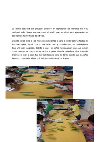 La última actividad del proyecto consistió en representar los números del 1-12
mediante colecciones, en este caso el objeto que se utilizó para representar las
colecciones fueron hojas de árboles.
Cuando se les pidió a los niños que saliéramos a fuera a cortar solo 12 hojitas del
árbol de zapote, pensé que no me harían caso y contarían más, sin embargo me
lleve una gran sorpresa, debido a que los niños mencionaban, que solo debían
cortar muy pocas porque si no, se iba a poner triste la naturaleza y los frutos del
árbol se le iban a caer, fue muy satisfactorio para mi darme cuenta que los niños
lograron comprender el por qué es importante cuidar los árboles.
 