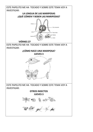 ESTE PAPELITO ME HA TOCADO Y SOBRE ESTE TEMA VOY A
INVESTIGAR:
LA LENGUA DE LAS MARIPOSAS
¿QUÉ CÓMEN Y BEBEN LAS MARIPOSAS?
VIÉRNES 27
ESTE PAPELITO ME HA TOCADO Y SOBRE ESTE TEMA VOY A
INVESTIGAR:
¿CÓMO NACE UNA MARIPOSA?
JUEVES 3
ESTE PAPELITO ME HA TOCADO Y SOBRE ESTE TEMA VOY A
INVESTIGAR:
OTROS INSECTOS
JUEVES 3
 