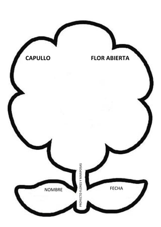 NOMBRE FECHA
PROYECTOFLORESYMARIPOSAS
CAPULLO FLOR ABIERTA
 