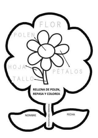 NOMBRE FECHA
PROYECTOFLORESYMARIPOSAS
RELLENA DE POLEN,
REPASA Y COLOREA
P O L E N
F L O R
P É T A L O S
H O J A
T A L L O
 