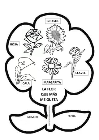 NOMBRE FECHA
PROYECTOFLORESYMARIPOSAS
LA FLOR
QUE MÁS
ME GUSTA
CLAVEL
MARGARITA
GIRASOL
ROSA
CALA
 