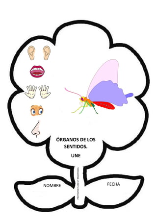 NOMBRE FECHA
PROYECTOFLORESYMARIPOSAS
ÓRGANOS DE LOS
SENTIDOS.
UNE
 