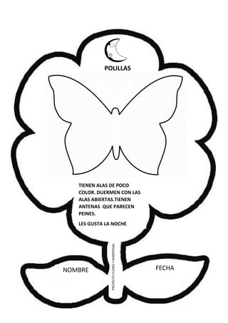 NOMBRE FECHA
PROYECTOFLORESYMARIPOSAS
POLILLAS
TIENEN ALAS DE POCO
COLOR. DUERMEN CON LAS
ALAS ABIERTAS.TIENEN
ANTENAS QUE PARECEN
PEINES.
LES GUSTA LA NOCHE
 