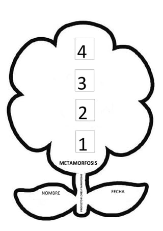 NOMBRE FECHA
PROYECTOFLORESYMARIPOSAS
METAMORFOSIS
4
3
1
2
 