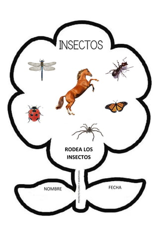 NOMBRE FECHA
PROYECTOFLORESYMARIPOSAS
RODEA LOS
INSECTOS
INSECTOS
 