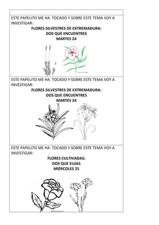 ESTE PAPELITO ME HA TOCADO Y SOBRE ESTE TEMA VOY A
INVESTIGAR:
FLORES SILVESTRES DE EXTREMADURA:
DOS QUE ENCUENTRES
MARTES 24
ESTE PAPELITO ME HA TOCADO Y SOBRE ESTE TEMA VOY A
INVESTIGAR:
FLORES SILVESTRES DE EXTREMADURA:
DOS QUE ENCUENTRES
MARTES 24
ESTE PAPELITO ME HA TOCADO Y SOBRE ESTE TEMA VOY A
INVESTIGAR:
FLORES CULTIVADAS:
DOS QUE ELIJAS
MIÉRCOLES 25
 
