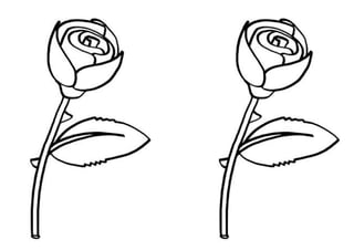 Proyecto completo floresy mariposas.