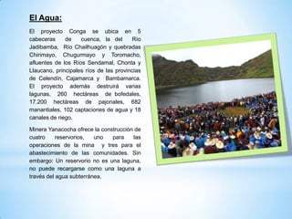 El Agua:
El proyecto Conga se ubica en 5
cabeceras     de    cuenca, la del      Río
Jadibamba, Río Chailhuagón y quebradas
Chirimayo, Chugurmayo y Toromacho,
afluentes de los Ríos Sendamal, Chonta y
Llaucano, principales ríos de las provincias
de Celendín, Cajamarca y Bambamarca.
El proyecto además destruirá varias
lagunas, 260 hectáreas de bofedales,
17.200 hectáreas de pajonales, 682
manantiales, 102 captaciones de agua y 18
canales de riego.

Minera Yanacocha ofrece la construcción de
cuatro     reservorios,  uno   para    las
operaciones de la mina y tres para el
abastecimiento de las comunidades. Sin
embargo: Un reservorio no es una laguna,
no puede recargarse como una laguna a
través del agua subterránea.
 