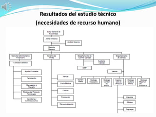Resultados del estudio técnico
(necesidades de recurso humano)
 