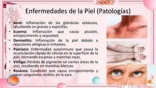 Escamas Rojas PROYECTO COSMETOLOGIA DIAPOSITIVAS CARLA.pptx