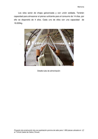 Memoria
Proyecto de construcción de una explotación porcina de cebo para 1.950 plazas ubicada en
el T.M de Castel de Cabra (Teruel)
16
10. INSTALACIONES
10.1 TRANSPORTE Y ALMACENAMIENTO DE PURINES
Esta instalación nos permite recoger los residuos animales (purín) en un
punto fijo (balsa de purines) para su posterior evacuación de las instalaciones.
La instalación comienza en la propia nave, debajo del enrrejillado, donde
se encuentran las fosas de deyecciones. En las fosas se acumula el purín
hasta una altura inferior al nivel de la rejilla. Una vez alcanzada cierta altura, se
abre la tajadera de cierre y el purín fluye hasta una arqueta de registro (en cada
nave). De esta arqueta parte una tubería de PVC de 800mm de diámetro, la
cual vierte el purín a la balsa de purines.
Los fosas recorren la nave longitudinalmente, no poseen pendiente
puesto que está demostrado que los fosos con pendiente prolongada provocan
sedimentaciones de sólidos, con los consiguientes problemas de
mantenimiento.
10.2 ALIMENTACIÓN
Debido al número de animales en la fase de cebo, el reparto del pienso
será automatizado, evitando así gran parte de la mano de obra.
La instalación consta de 4 silos, 2 por nave. De cada silo sale un tubo de
reparto de PVC de diámetro 90mm que transporta el pienso hasta las bajantes
de PVC de diámetro 63mm, las cuales facilitan la caída del pienso en las
tolvas. Se adaptan al tubo transportador mediante una conexión en T sujetada
con bridas.
Las tolvas serán tubulares de PVC de diámetro 300mm, una para cada
celda, la cual lleva incorporado un chupete.
 