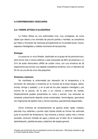 Anejo 8 Programa higiénico-sanitario
Proyecto de construcción de una explotación porcina de cebo para 1.950 plazas ubicada en
el T.M de Castel de Cabra (Teruel)
9
4. PRINCIPALES PATOLOGÍAS
4.1 ENFERMEDADES DEL SISTEMA NERVIOSO CENTRAL
4.1.1 ENFERMEDAD DE AUJEZSKY
Etiología:
El agente causal pertenece al grupo de los herpesvirus, Herpesvirus suis.
Mide 120 - 180 m µ , contiene ADN, cápside icosaedrica de 162 capsómeros y
membrana lipoproteica exterior.
Síntomas y lesiones:
El patrón de la enfermedad es fuertemente dependiente de la edad. En
lechones hasta de 4 semanas de edad los signos clínicos son más severos y la
mortalidad mayor.
La mortalidad en lechones de menos de 2 semanas frecuentemente se
acerca al 100% y la muerte sucede dentro de las primeras horas de que se
implanta la enfermedad. A menudo la postración es el único signo clínico. En
lechones ligeramente mayores, la mortalidad es del orden de 5 a 25% y el
curso clínico más prolongado. Los lechones afectados se encuentran febriles,
anoréxicos e indiferentes. Los signos nerviosos son más aparentes y consisten
en incoordinación, temblores musculares, convulsiones y parálisis, el prurito es
raro. También se pueden presentar signos respiratorios y ser predominantes en
algunos brotes, estos consisten en disnea y descarga nasal. La muerte puede
suceder hasta una semana después de que se establece la enfermedad, pero
los cerdos enfermos pueden mostrar recuperaciones sorprendentes. Los signos
clínicos en cerdos adultos son normalmente leves y transitorios (fiebre,
anorexia, indiferencia y constipación), o estar ausentes. Sin embargo, se sabe
de algunos brotes naturalmente severos en adultos, debidos a cepas de virus
virulento.
 
