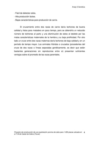 Anejo 3 Genética
Proyecto de construcción de una explotación porcina de cebo para 1.950 plazas ubicada en
el T.M de Castel de Cabra (Teruel)
3
2. FUNDAMENTOS DEL CRUZAMIENTO
El cruzamiento se justifica en porcicultura por la heterosis. La heterosis,
o vigor híbrido, se produce cuando se cruzan individuos de dos razas distintas.
Se define como el porcentaje de superioridad de los descendientes del
cruzamiento respecto a la media de las razas que han participado en el mismo.
Así, por ejemplo, si cruzamos a la raza Large White que tiene una prolificidad
de 12 lechones con la Duroc de prolificidad 10 y las hijas resultantes paren una
media de 11,8 lechones.
El fenómeno de la heterosis se manifiesta en los individuos cruzados
pero no en su descendencia; por ello, no es conveniente su uso para la
reposición. Aunque el cruzamiento tiene gran interés con objeto de mejorar los
parámetros reproductivos, de crecimiento y de transformación del alimento, es
necesario señalar que los animales cruzados no tienen necesariamente un
nivel productivo superior al de la mejor raza que los generó. La heterosis que
se logra con el cruzamiento es variable según el carácter que se considere.
Para la obtención de ventajas significativas con el cruzamiento es necesario
que previamente se hayan llevado a cabo programas de selección adecuados
con las razas puras.
La genética es compleja y de gran importancia ya que las razas de
cerdos son muy específicas. Para lograr un alto número de lechones por
camada y que estos tengan una carne de buena calidad y en el menor tiempo
posible, es necesario realizar diferentes cruces entre aquellos animales
seleccionados de distintas razas.
Las razas cárnicas poseen:
- Alta ganancia de peso.
- Buena conformación jamón y lomo bien desarrollado
- Alta eficiencia de conversión de alimento.
- Mala capacidad materna.
Las razas maternas se caracterizan por:
- Alta prolificidad.
- Alto número de lechones nacidos.
- Buena capacidad materna.
 