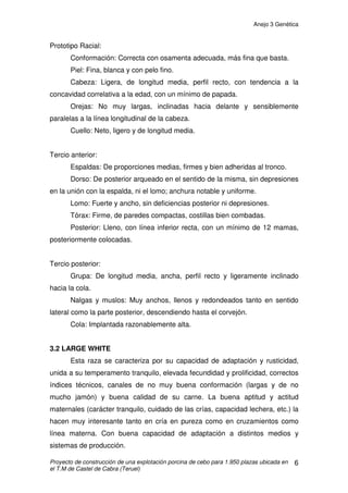 Anejo 3 Genética
Proyecto de construcción de una explotación porcina de cebo para 1.950 plazas ubicada en
el T.M de Castel de Cabra (Teruel)
5
3. RAZAS PURAS
El ganado a emplear será el procedente de cruces entre las razas
Landrace (tipo estándar) y Large White, para la línea madre, y Duroc para la
línea padre.
3.1 LANDRACE
Es una raza blanca muy deseada por su ganancia diaria en peso,
conversión alimenticia y poca grasa, de buena musculatura, alta calidad de su
canal y alto porcentaje de jamón. La hembra se utiliza en raza pura y en
programas de cruzamiento. Es reconocida por sus cualidades maternas,
temperamento, longevidad y prolificidad. Los machos son reproductores
seguros y tienen un excelente temperamento, que facilita el trabajo con ellos.
9$5,$%/(6 9$/25(6
(GDG SULPHU SDUWR  GtDV
,QWHUYDOR HQWUH SDUWRV  GtDV
(GDG DO GHVWHWH  GtDV
,QWHUYDOR GHVWHWHFXEULFLyQ  GtDV
/HFKRQHV YLYRV SRU SDUWR 
ËQGLFH GH WUDQVIRUPDFLyQ 
*DQDQFLD PHGLD GLDULD JUGtD 
