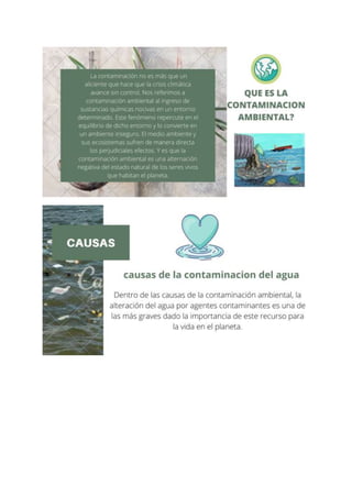 Proyecto cts diapositivas