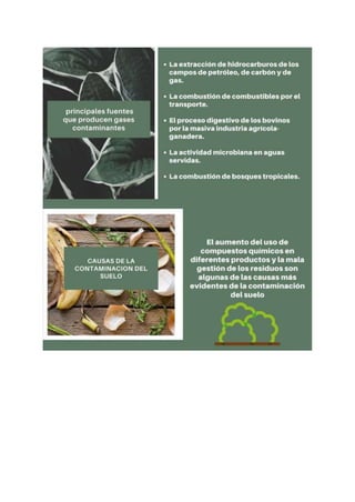 Proyecto cts diapositivas