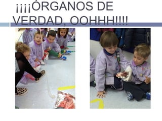 ¡¡¡¡ÓRGANOS DE
VERDAD, OOHHH!!!!