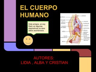 EL CUERPO
HUMANO
   Hola amigos, yo soy
   Raúl, en algunas
   diapositivas os dare
   datos asombrosos.




        AUTORES:
LIDIA , ALBA Y CRISTIAN
 
