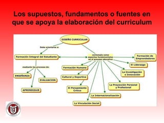 Los supuestos, fundamentos o fuentes en
que se apoya la elaboración del curriculum
 