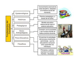 Fundamentosdel
Currículum
Epistemológicos
Históricos
Pedagógicos
Socio-
Antropológicos
Psico-Educativos
Filosóficos
Conocimiento esencial de
cada disciplina, adaptado
a la historia social del
momento.
Práctica pedagógica, a
través de los años.
Modelo educativo
referencial de todo el
sistema educativo.
Conexión con la sociedad
y ser humano donde se
realiza práctica docente.
Encaminan la estrategia
del proceso enseñanza-
aprendizaje; que los
educadores conozcan
cómo aprenden los
individuos.
Principios y valores:
expresan el modelo
Hombre - Sociedad
 